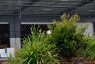Ellen Grovechainlink-fencing-13.jpg; ?>