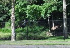 Ellen Grovechainlink-fencing-9.jpg; ?>